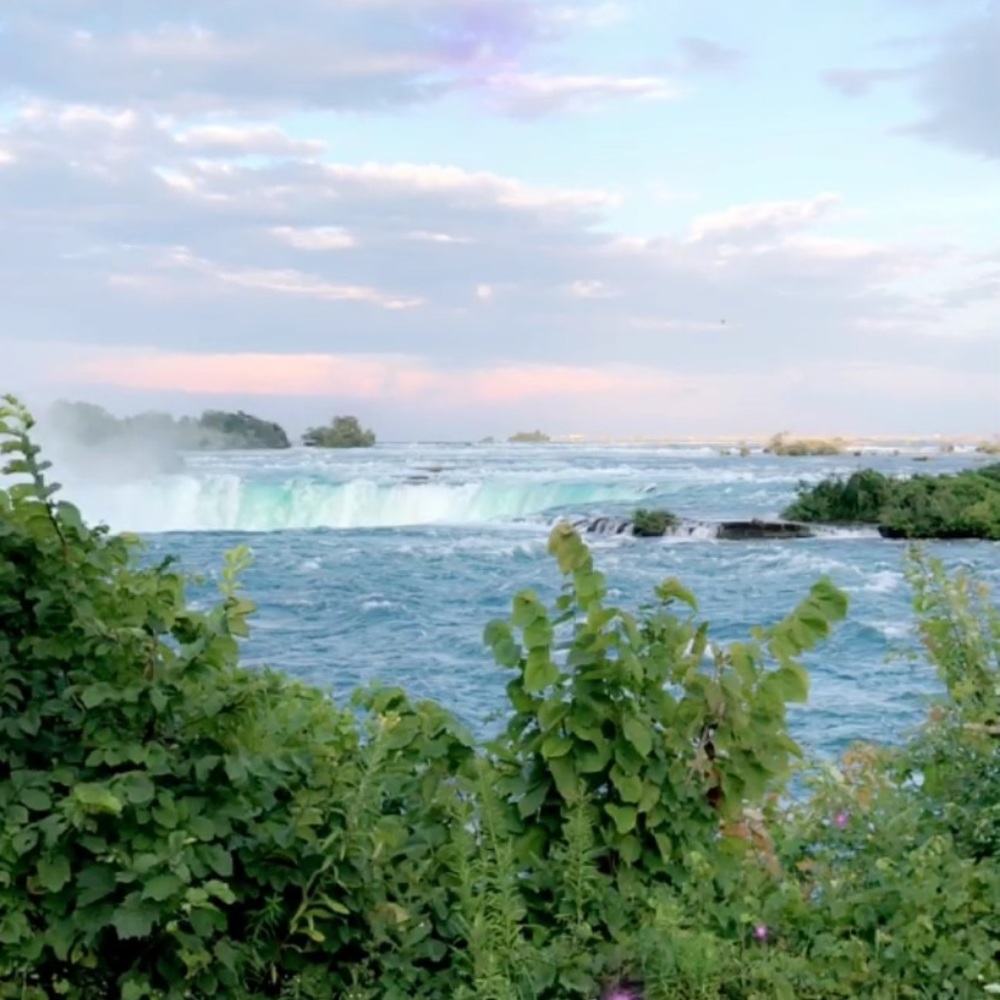 Meet your Posher, Arisleyda